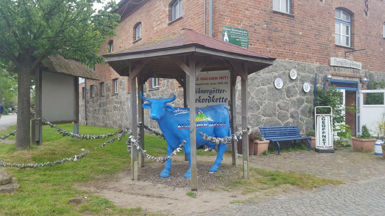 Ferienwohnung Finja In Putgarten, Kap Arkona Ruegen Exterior foto